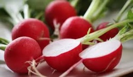 Radijs-komkommer salade